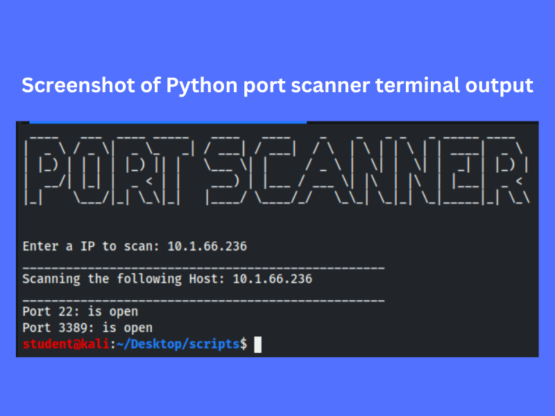Screenshot of Python port scanner terminal output